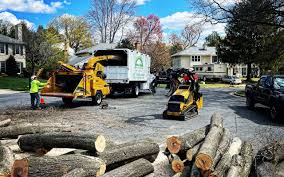 Leaf Removal in Madison, MN